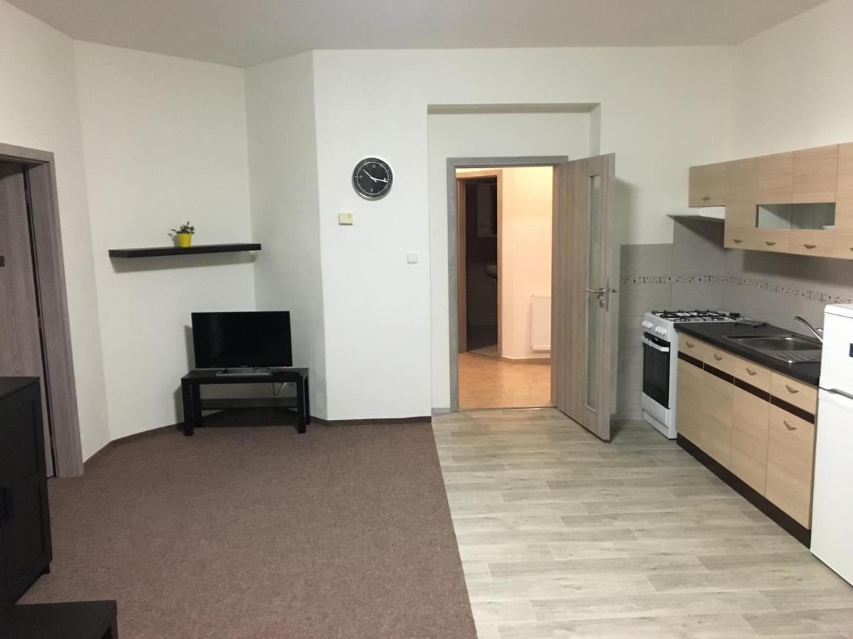 Apartmány U Muzea Decin Esterno foto